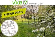 Großzügiges Grundstück guter Lage nähe Gallneukirchen! – Gemeinde Alberndorf in der Riedmark (GST 2438/3)