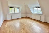 Dachgeschoß-Wohnung mit Terrasse an der Liesing
