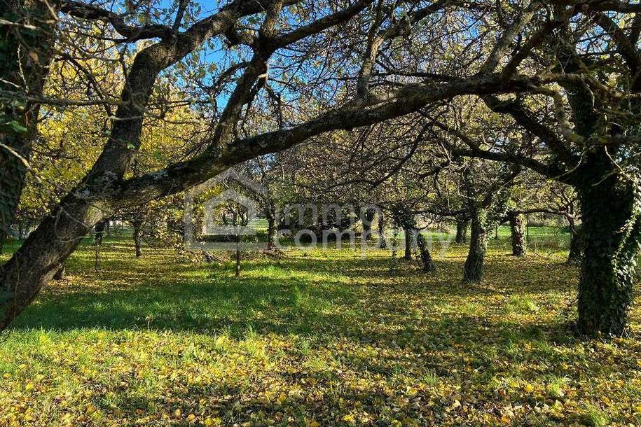 Baugrund Schlosspark, Grund und Boden-kauf, 1.290.000,€, 7053 Eisenstadt-Umgebung