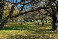 Baugrund Schlosspark