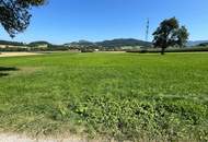 Landwirtschaftliche Fläche
