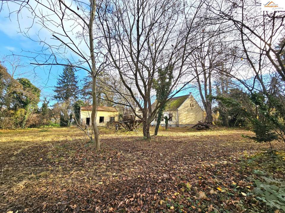 Großzügiges Baugrundstück mit Altbestand