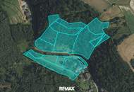 Refugium in Waldrandlage – Wohnen und Vermieten in der Wachau in Goßam