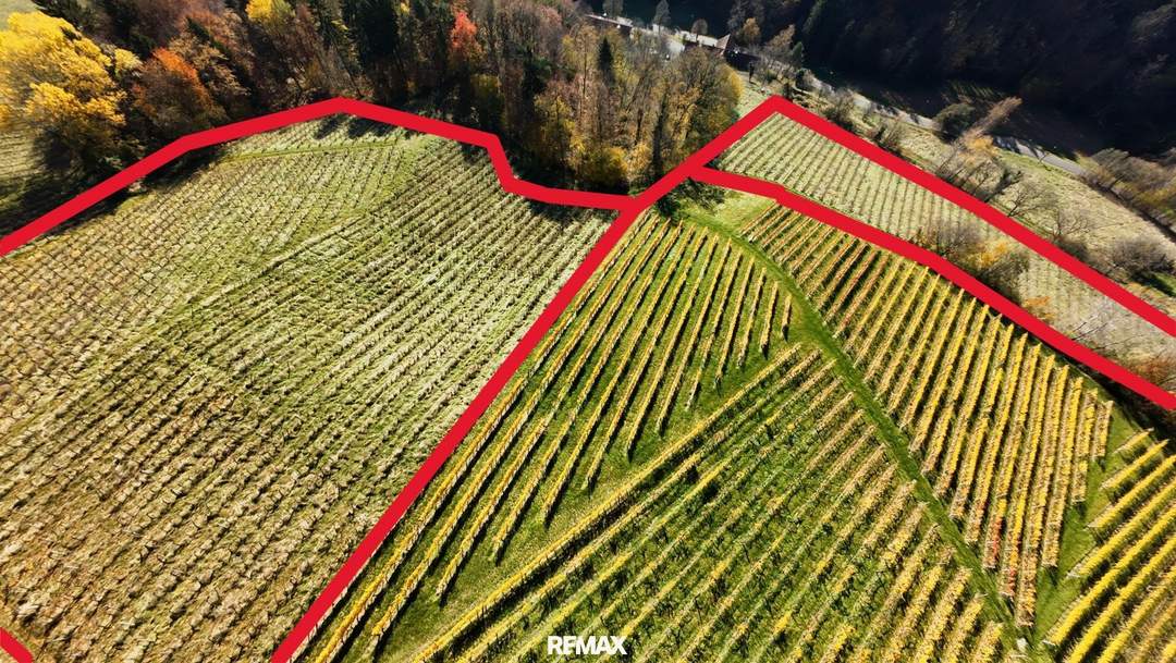 Weingarten in Kranach, Gemeinde Gamlitz zu kaufen ( Zone II )