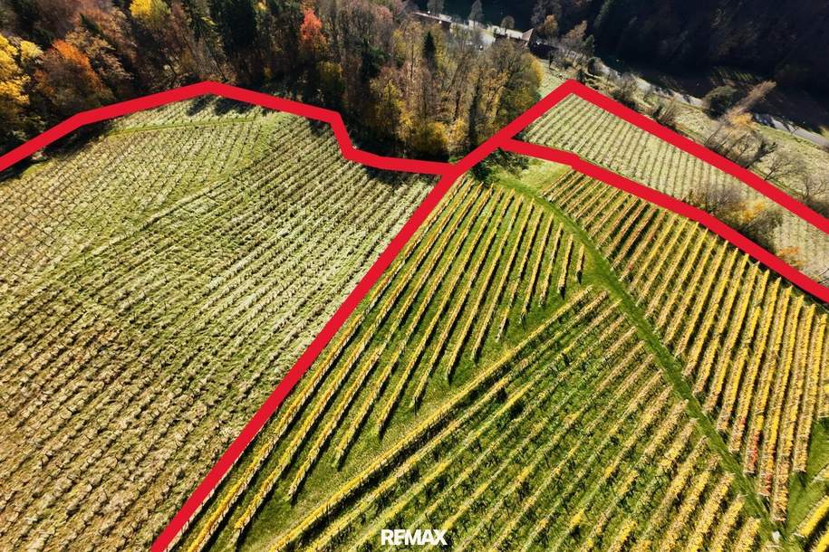 Weingarten in Kranach, Gemeinde Gamlitz zu kaufen ( Zone II ), Gewerbeobjekt-kauf, 329.000,€, 8462 Leibnitz