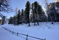 ZWEITWOHNSITZTAUGLICH! Grundstück in idyllischer Lage auf der Turracher Höhe
