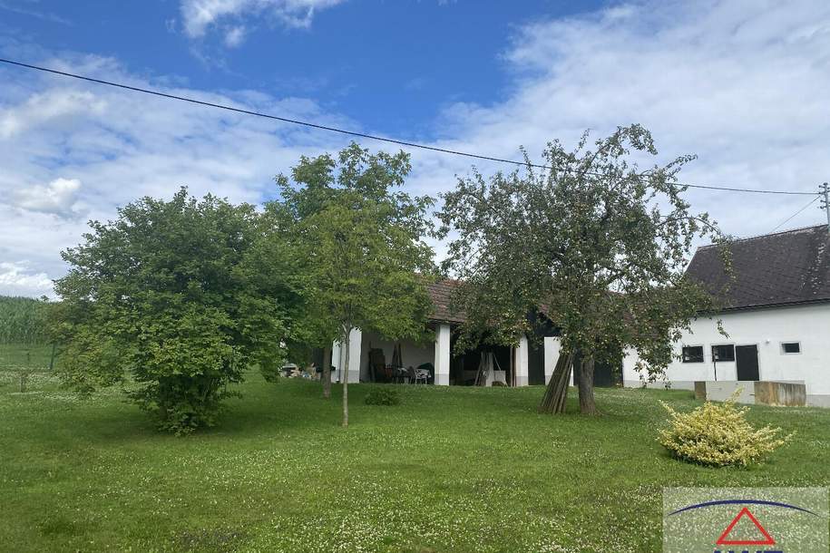 Vierkanthof mit ca. 1 Hektar Grund in ruhiger Lage!, Haus-kauf, 299.000,€, 8295 Hartberg-Fürstenfeld