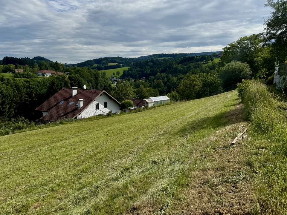 Attraktive Entwicklungsmöglichkeit für Bauträger und Investoren - Baugrundstück