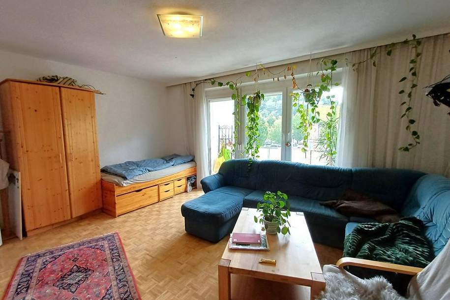 Sonnige Garconniere in der Plentznerstraße, Wohnung-miete, 600,00,€, 4810 Gmunden