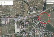 Riesling Weingarten Riede Röthling - PROVISIONSFREI!