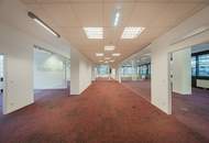 Büro direkt auf der Dresdnerstraße im BC 20 - Bauteil B zu mieten