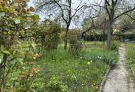 "Meine Kleingartenoase in Korneuburg"