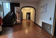 Wohnen und Arbeiten unter einem Dach in Wr. Neudorf