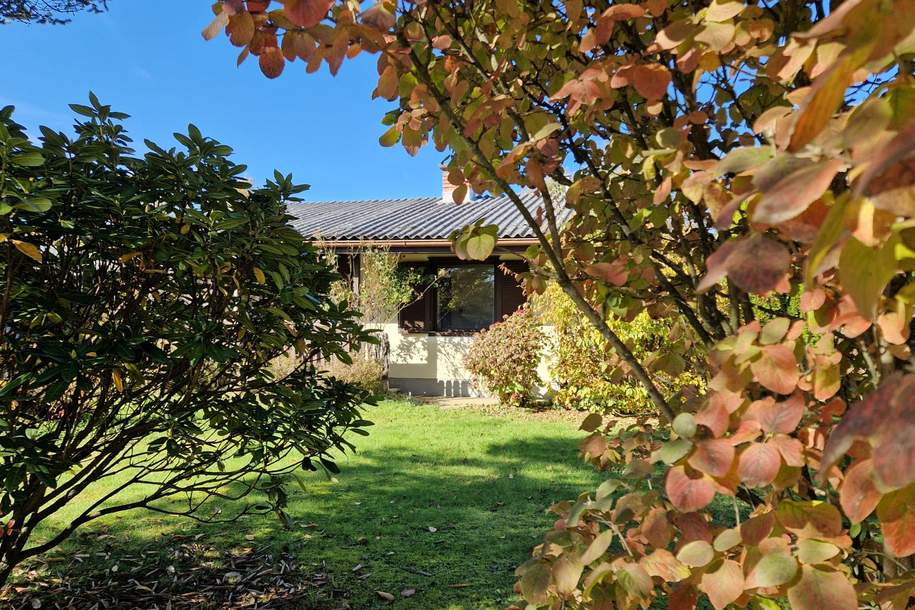 Rohdiamant - Ferienhaus mit großem Grundstück in beliebter Thermen & Golfregion, Haus-kauf, 89.000,€, 8280 Hartberg-Fürstenfeld