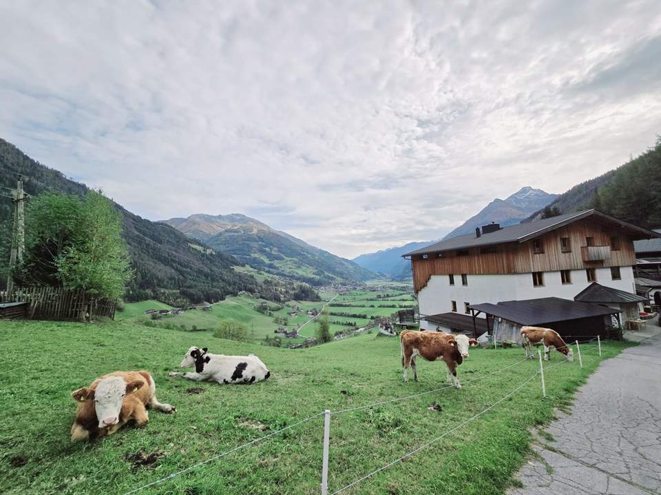 Landhauswohnung in Matrei in Osttirol - Naturidylle auf 1.100m Seehöhe