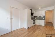 Sanierte 2,5-Zimmer-Altbauwohnung mit guter Infrastruktur in Linz zu vermieten!