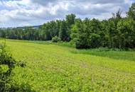 Stattlicher VIERKANTHOF mit 21 ha Grund