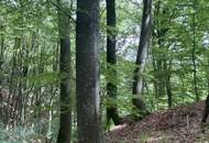 Wohnhaus mit Nebengebäuden und Grund!