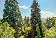Villa Elfi: Klassische Sommerfrische-Villa mit Traumgrundstück in Tullnerbach-Lawies!