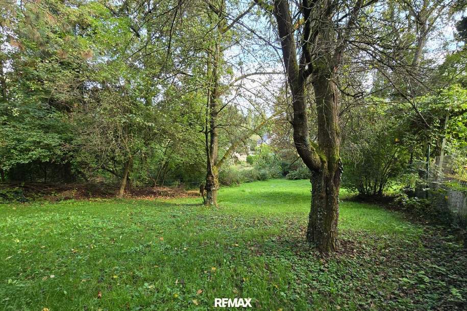 Idylisches Baugrundstück - Verborgen im Zaubertal, Grund und Boden-kauf, 550.000,€, 4020 Linz-Land