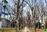 Wiener Neustadt – wo urbanes Leben und Natur harmonisch verschmelzen