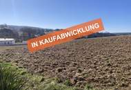 Olbendorf: Sehr schönes, sonniges Grundstück!
