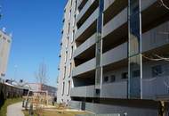 Aufblühen in Reininghaus