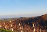 IN SLOWENIEN - Weingut in spektakulärer Alleinlage mit traumhafter Aussicht!