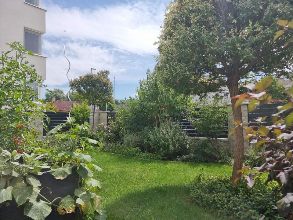 "Faunen &amp; Floren"
