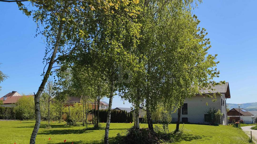 RARITÄT IN ASCHBACH 1.227 M² BAUGRUND, VOLL AUFGESCHLOSSEN OHNE BAUZWANG