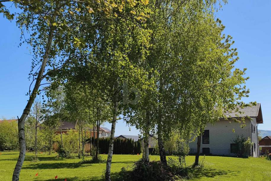 RARITÄT IN ASCHBACH 1.227 M² BAUGRUND, VOLL AUFGESCHLOSSEN OHNE BAUZWANG, Grund und Boden-kauf, 3361 Amstetten