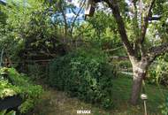 Ein Garten, der bleibt – Zweifamilienhaus mit außergewöhnlichem Naturgarten & Swimmingteich in Gmünd