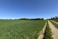 Attraktive Landwirtschaftsfläche in Eggendorf im Traunkreis