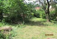 Traumgrundstück 696m² in 1110 Wien – Perfekt für Ihr Eigenheim! Sehr grün und mit einem teilweisen sehr alten Baumbestand am Grundstücksrand
