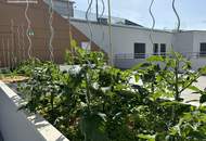 Ihr Traumzuhause wartet