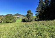 Baugrundstück mit Wald