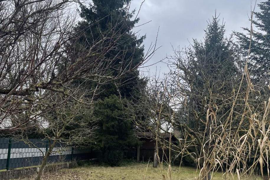 Solides Einfamilienhaus mit Keller im Herzen von Langholzfeld!, Haus-kauf, 4061 Linz-Land