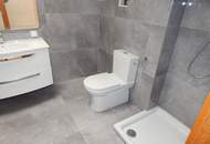 Sanierte Dachterrassenwohnung mit Fernblick in der Kaasgrabengasse