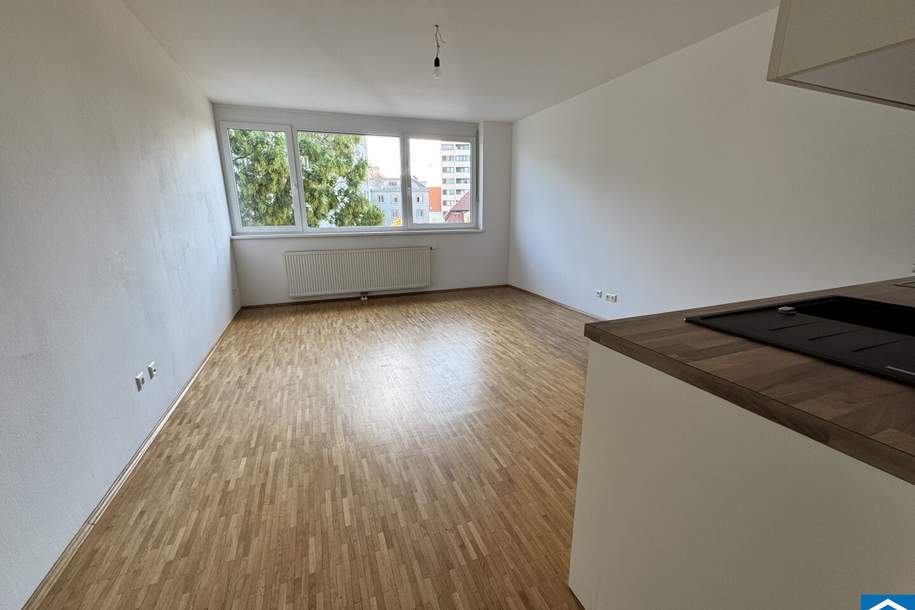 Lichtdurchflutete 1-Zimmer-Wohnung in bester Lage!, Wohnung-miete, 495,00,€, 8020 Graz(Stadt)