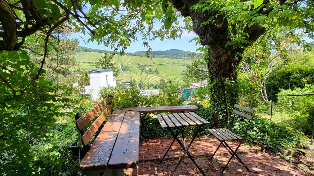 BAUGRUNDSTÜCK MIT WUNDERSCHÖNEM AUSBLICK IN DIE WEINBERGE