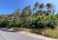 Waldparzelle in Unterhöflein