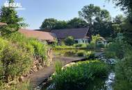 Schlichtes "Amerikanerhaus" mit prachtvollem Naturgarten, Schwimmteich und mit 2 separaten Wohneinheiten !