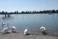 Donauparkblick! Spacious studio apartment on a higher floor for short or long term rent!