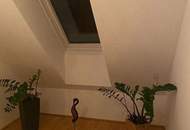 Ihr kleines Paradies am Neusiedlersee