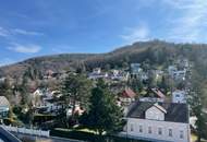2-Zimmer-Dachterrassenwohnung Erstbezug inkl hochwertiger Küche, Außenfläche und Kellerabteil mit Blick ins Grüne - KLOSTERNEUBURG/ K126 T53