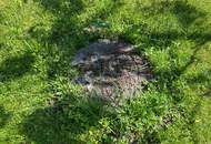 ***Natur pur: Charmante Gartenhütte mit Bachlauf auf 2000m² in ruhiger Alleinlage***