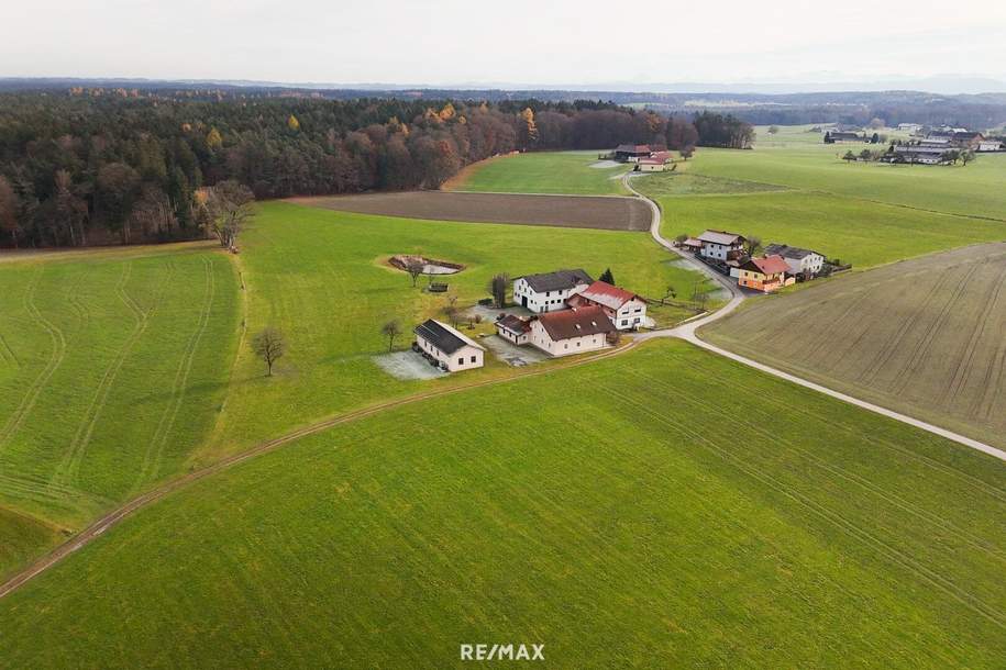 Vielseitige Liegenschaft mit zwei Wohnhäusern, Wirtschaftsgebäuden, Nutzflächen und Wald, Gewerbeobjekt-kauf, 1.700.000,€, 5121 Braunau am Inn