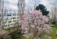 3 Zimmer Wohnung mit Loggia