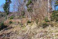 FERIENHAUS IN SONNIGER LAGE