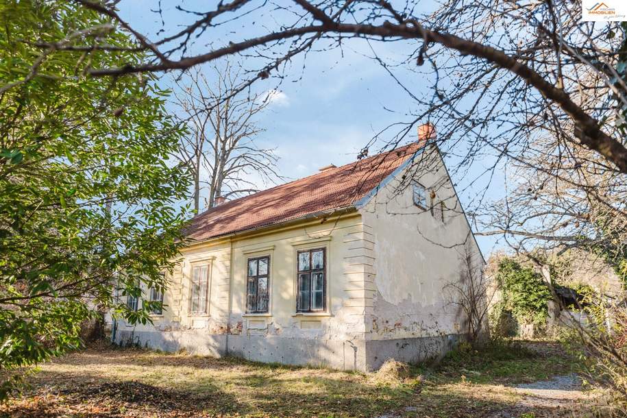 Traumhafte Liegenschaft in Pitten – Großzügiges Bauland mit charmantem Altbestand, Haus-kauf, 495.000,€, 2823 Neunkirchen